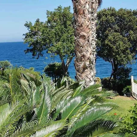 Magique Creek, Piscine Naturelle Dans Les Rochers * Zonza