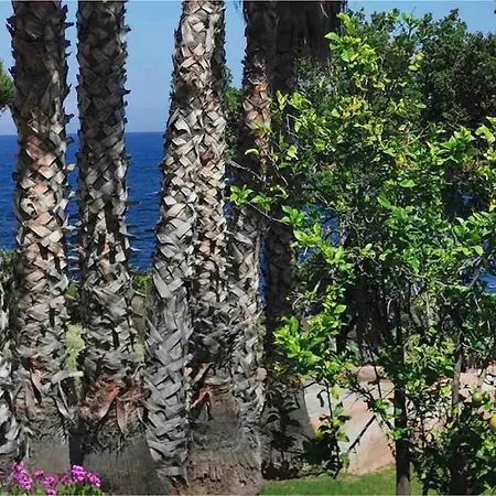 Magique Creek, Piscine Naturelle Dans Les Rochers Zonza
